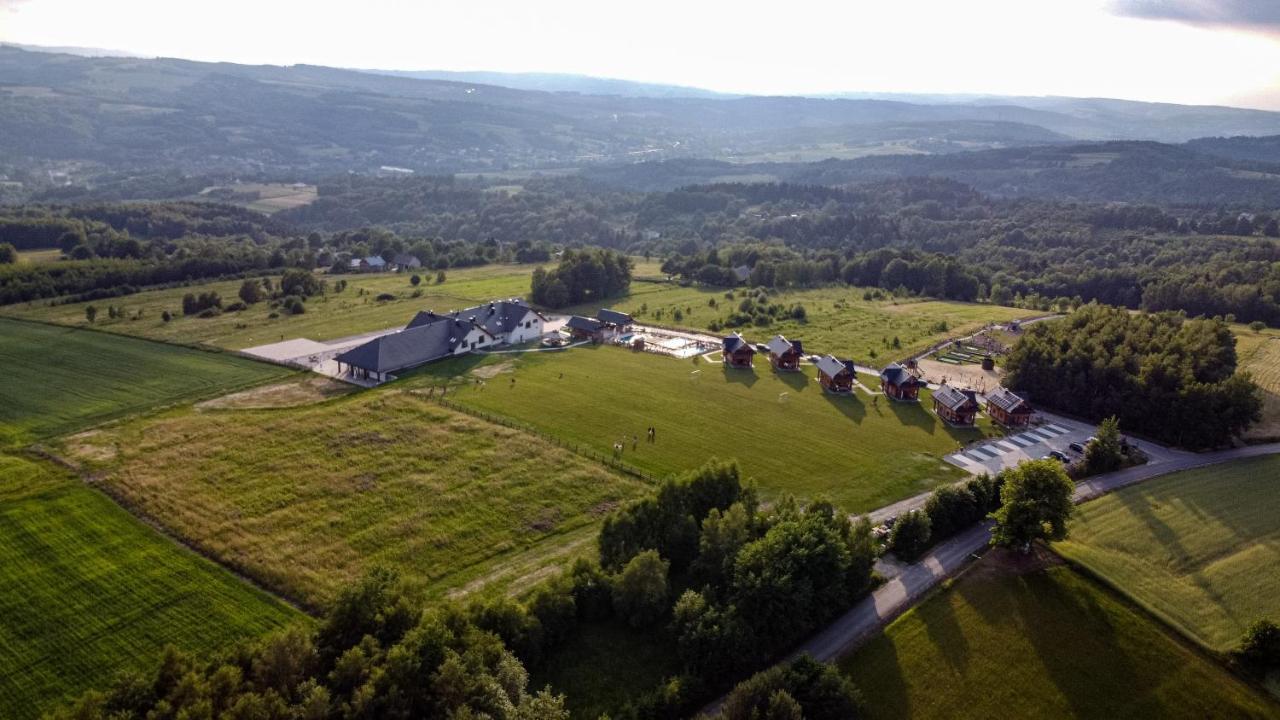 Solankowe Zacisze Villa Baryczka Kültér fotó
